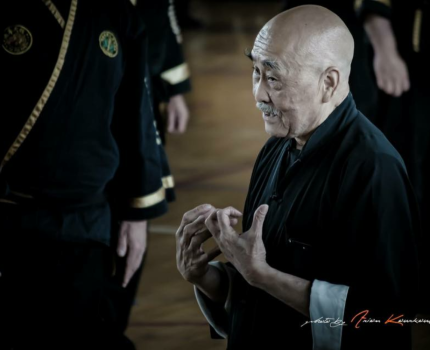 The Legacy of the Fu Jow Pai
