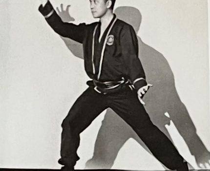 Hand Strength in Fu Jow Pai