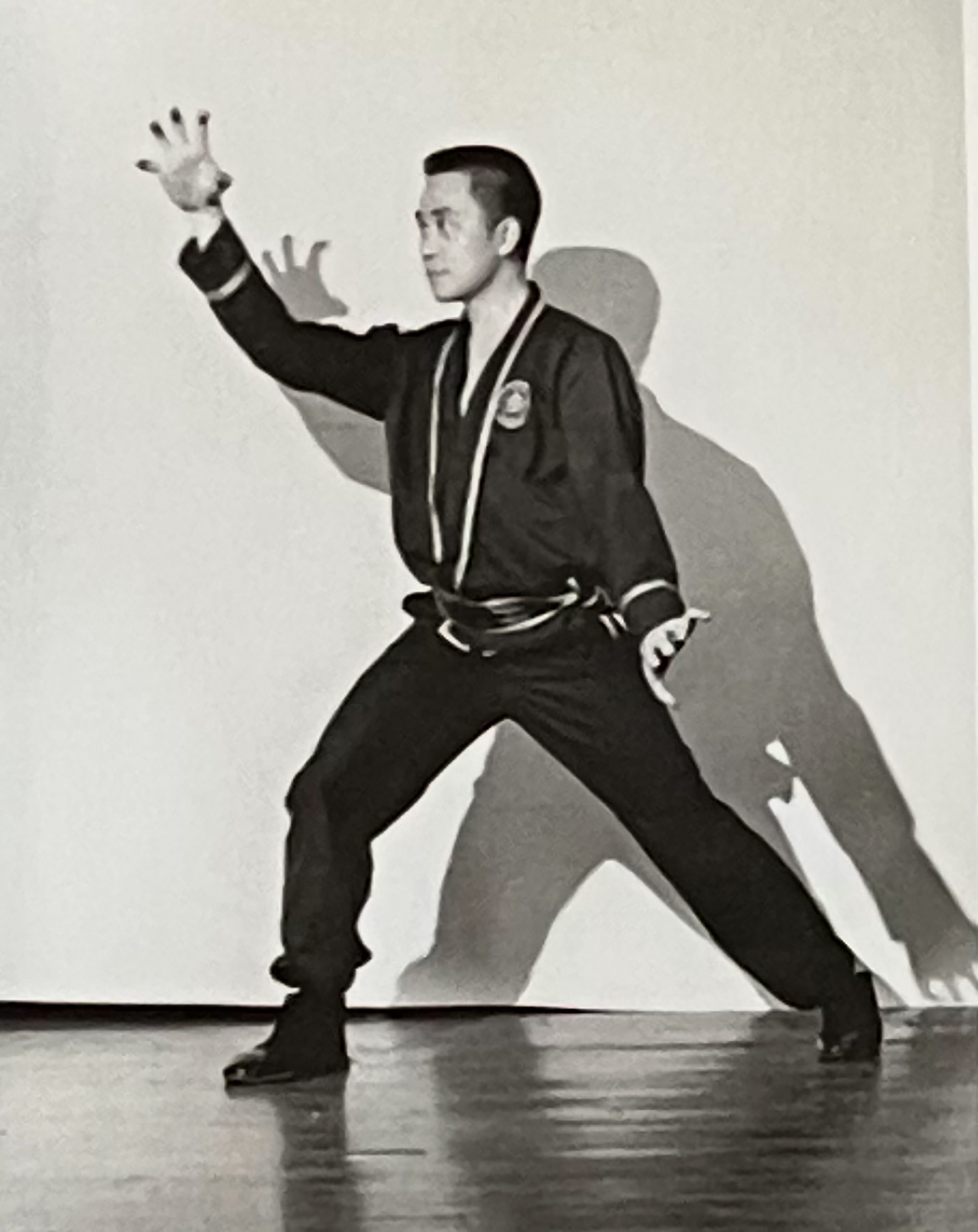 Hand Strength in Fu Jow Pai